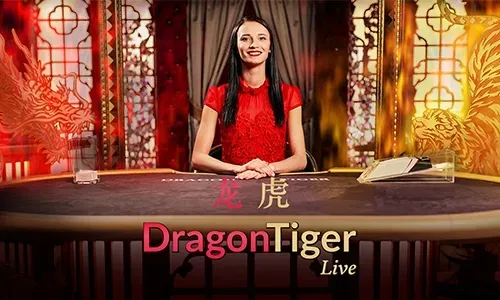 Bingoplus Live Casino
